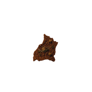 Buchweizenchips mit Steinpilzcreme und Hefegarum (vegan)