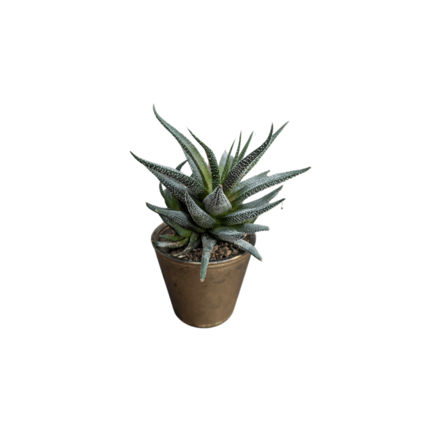 Decoration for standing tables