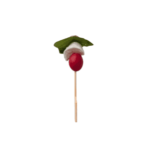 Skewers with Datterino tomato, B