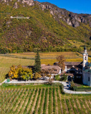 Von Braunbach winery in Siebeneich