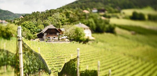 Patscheider Hof in Signat - immagine 2